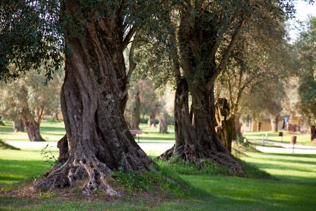 Uliveto Principessa Resort Cittanova  Bagian luar foto