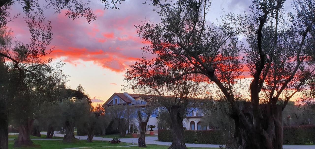 Uliveto Principessa Resort Cittanova  Bagian luar foto